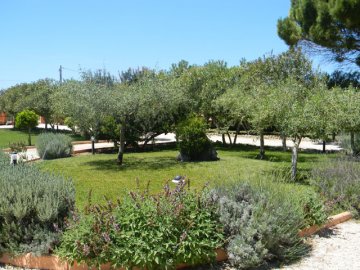 genieten - Country Lodge Is Benas - buiten